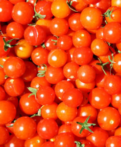 tomates-cherry-ecologicos